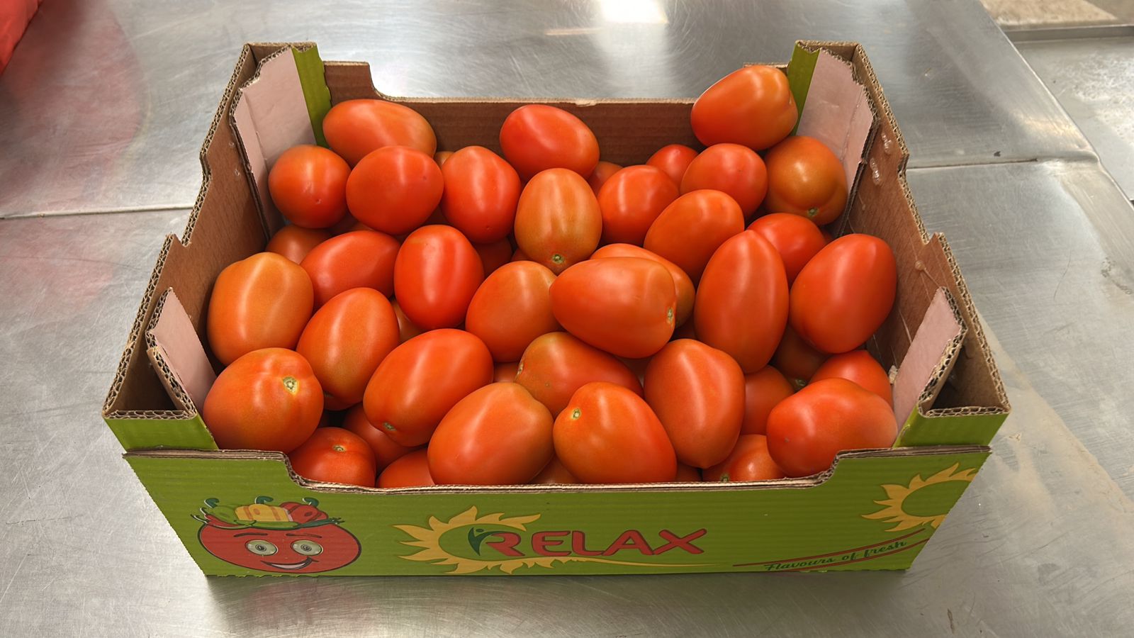 6kg Elongated Tomato